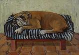 Sovende bulldog